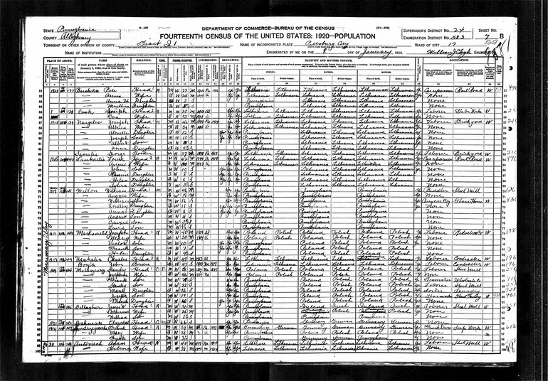 1920 Joseph Mashovirtch Census